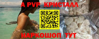стафф Моздок