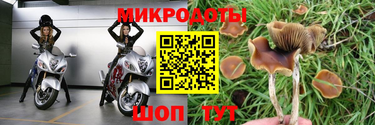 купить наркоту  Галлюциногенные грибы мухоморы  Советск  Вход с VPN  Псилоцибиновые грибы MAGIC MUSHROOMS 